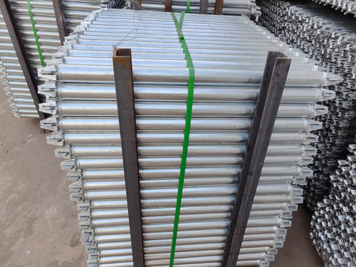 �̿�ʽ���ּ�ˮƽ��12